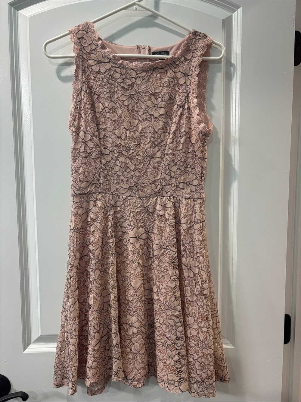 Lily Rose Floral Lace Sleeveless Mini Dress in Blush Pink
